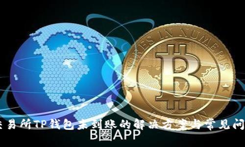 币安交易所TP钱包未到账的解决方案与常见问题剖析