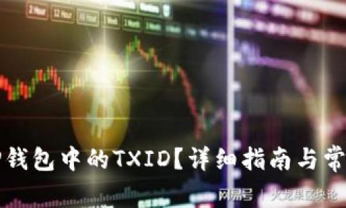 如何查看TP钱包中的TXID？详细指南与常见问题解析