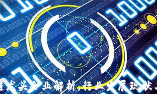 
基建区块链龙头企业解析，行业发展现状与未来趋势