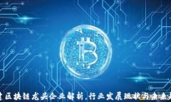 基建区块链龙头企业解析，行业发展现状与未来