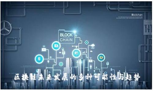 区块链未来发展的多种可能性与趋势